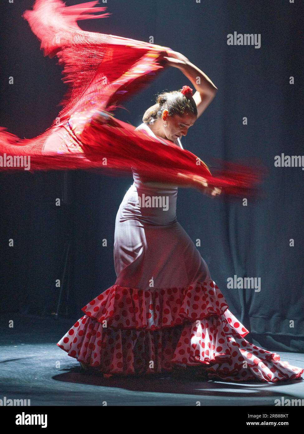 Spectacle de flamenco au Teatro Flamenco Sevilla Banque D'Images