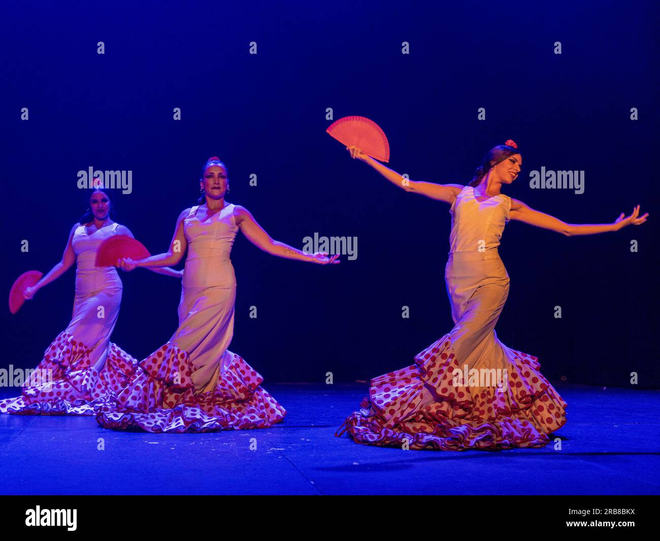 Spectacle de flamenco au Teatro Flamenco Sevilla Banque D'Images