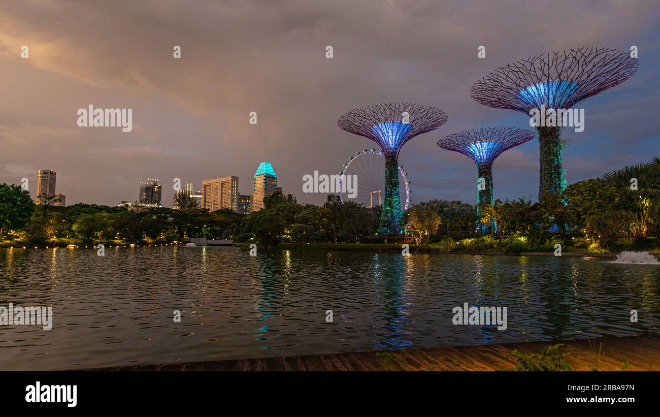 Emblématique Supertree grove, composé de trois arbres à Gardens by the Bay à Singapour, pris dans la soirée, avec un peu de lumière artificielle et aucun peuple Banque D'Images