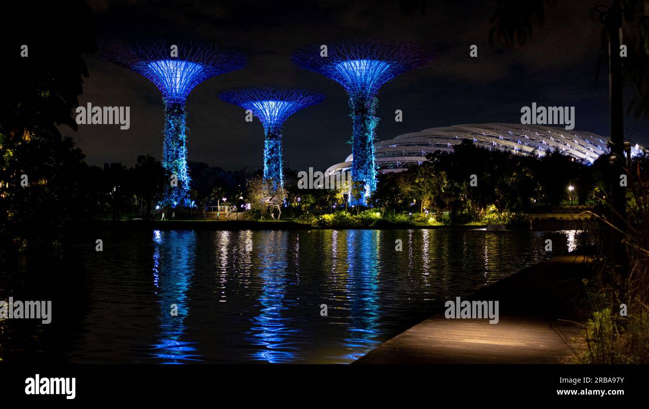 Emblématique Supertree grove, composé de trois arbres à Gardens by the Bay à Singapour, pris la nuit, avec un peu de lumière artificielle et sans personne Banque D'Images