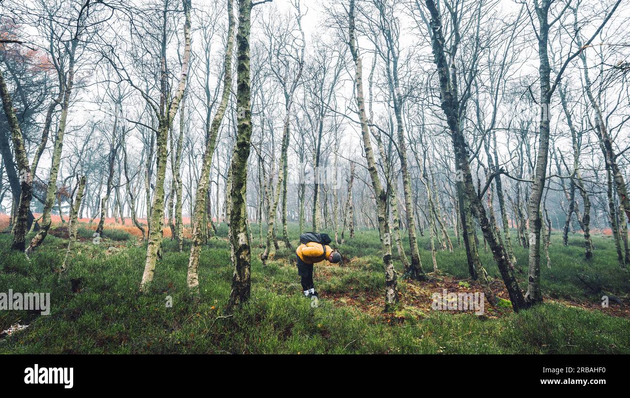 Jeune homme avec veste d'hiver jaune et chapeau, se dresse dans le bouleau belle forêt avec l'herbe, pendant le froid nuageux automne jour, Decin, République Tchèque Banque D'Images