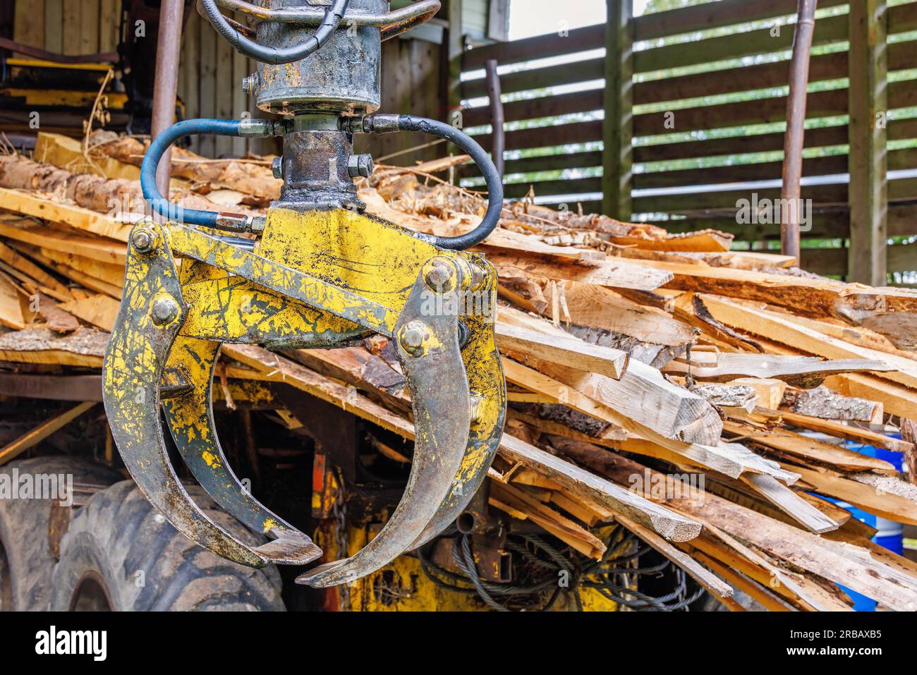 Grue hydraulique sur un porteur de véhicule forestier pour soulever des grumes Banque D'Images