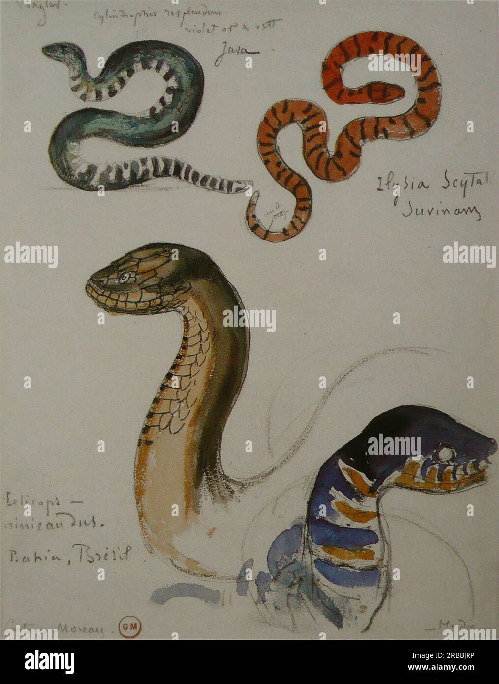 Quatre études de serpents par Gustave Moreau Banque D'Images