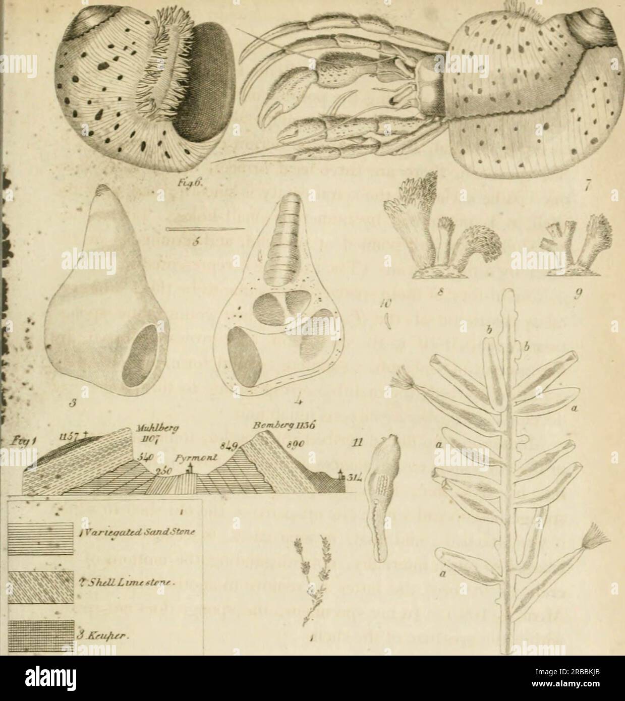 'La nouvelle revue philosophique d'Edimbourg' Banque D'Images