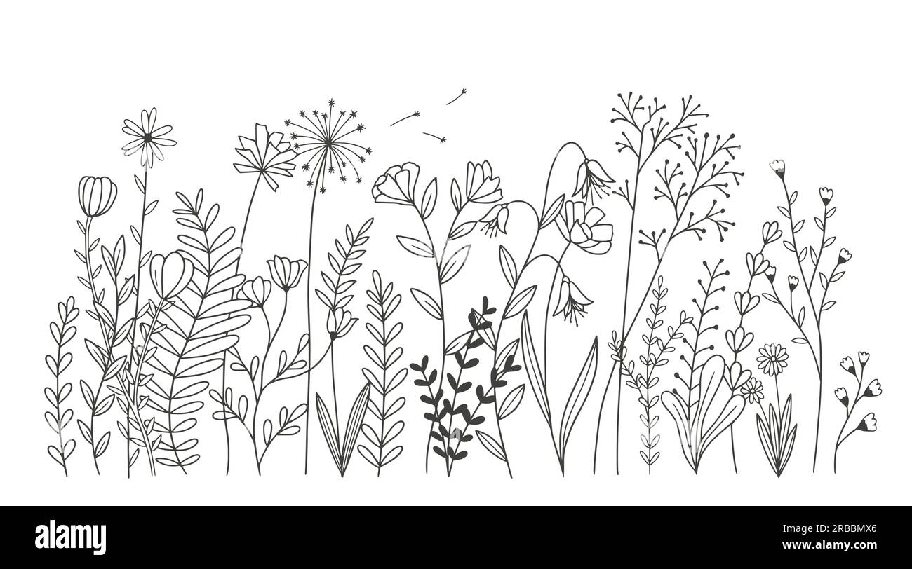 Belles fleurs isolées sur fond blanc. illustration vectorielle Illustration de Vecteur