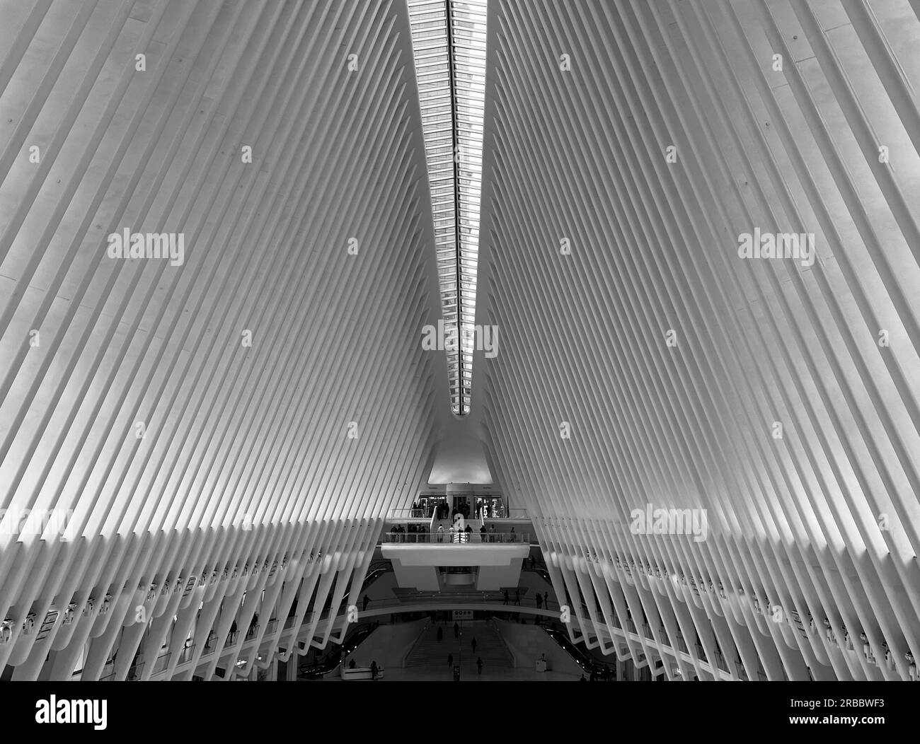 Vue en noir et blanc de l'Oculus Transportation Hub au World Trade Center à New York. Banque D'Images