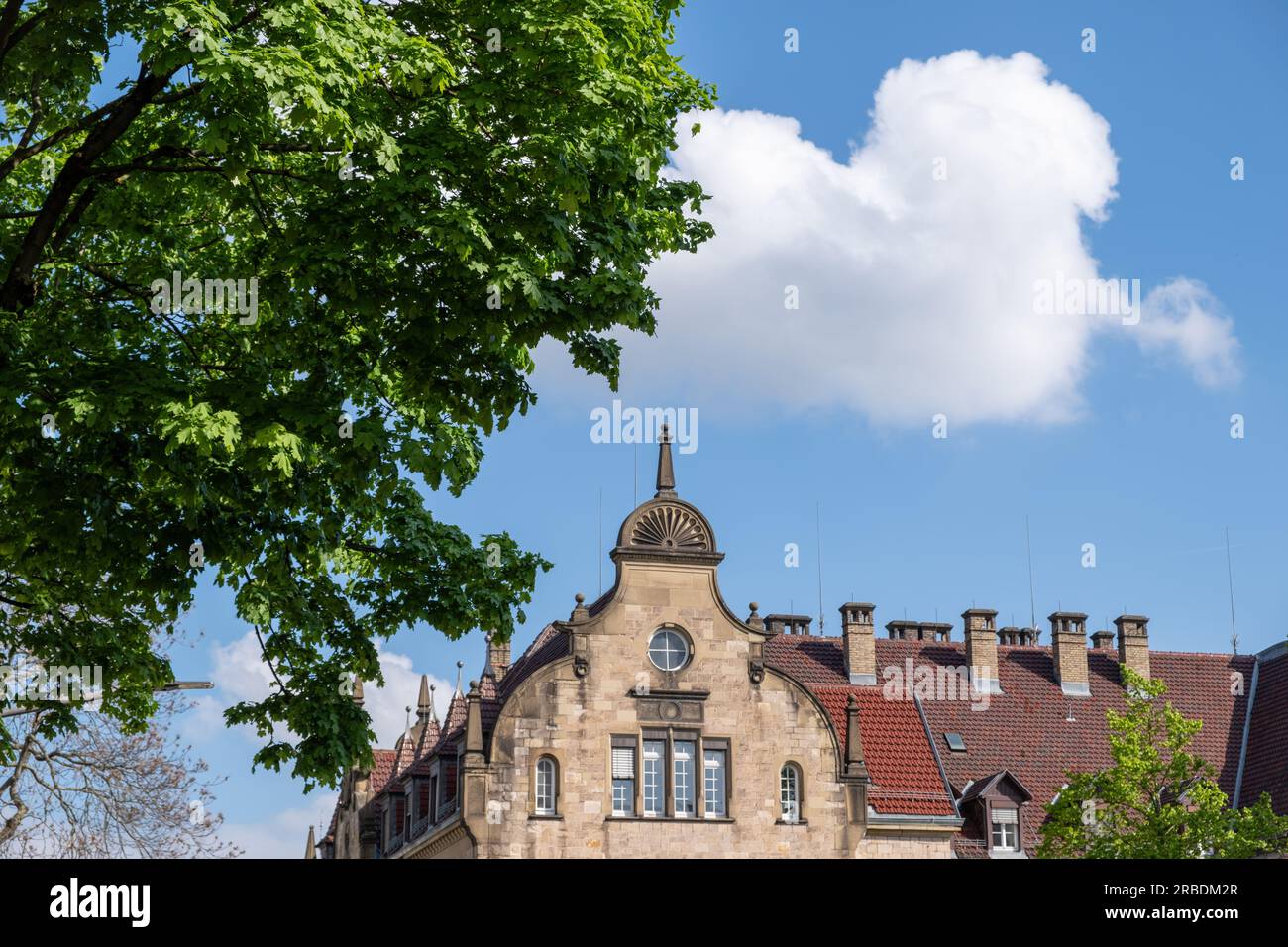 Allemagne, ville de Heidelberg. Vue du bâtiment de toit de tuile, avec beaucoup de cheminée et partie d'extrémité supérieure compliquée. Journée ensoleillée, ciel nuageux, arbre. Banque D'Images
