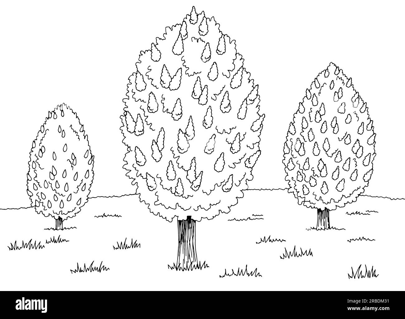 Chestnut Tree grove graphique paysage noir blanc vecteur d'illustration Illustration de Vecteur