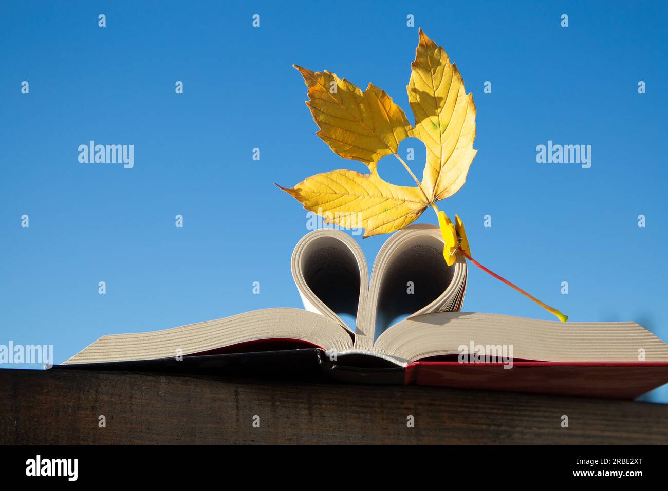 Bonjour, automne. amour automne et livres. Un livre ouvert et une feuille jaune d'automne avec un coeur découpé contre le ciel bleu. concept d'éducation Banque D'Images