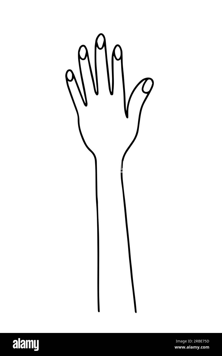 Main dessinée doodle main humaine Illustration de Vecteur