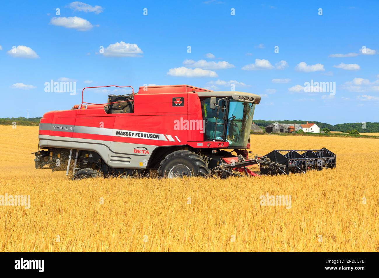 7 juillet 2023 récolte de l'orge d'hiver Tardis à 14% d'humidité dans une ferme près d'Empingham, Rutland Banque D'Images