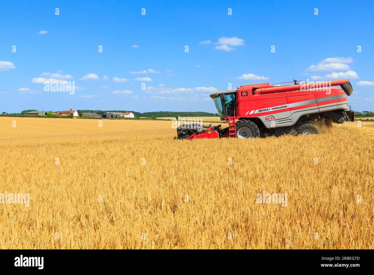 7 juillet 2023 récolte de l'orge d'hiver Tardis à 14% d'humidité dans une ferme près d'Empingham, Rutland Banque D'Images