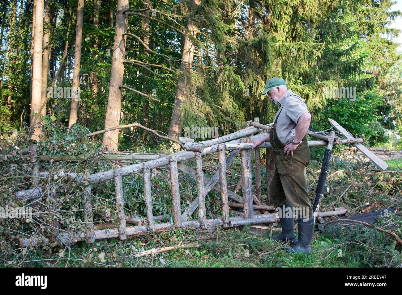 La tempête a fait un excellent travail, le siège haut ne pouvait pas résister aux rafales et s'est renversé. Le chasseur regarde les dégâts. Il doit maintenant éliminer le perchoir Banque D'Images