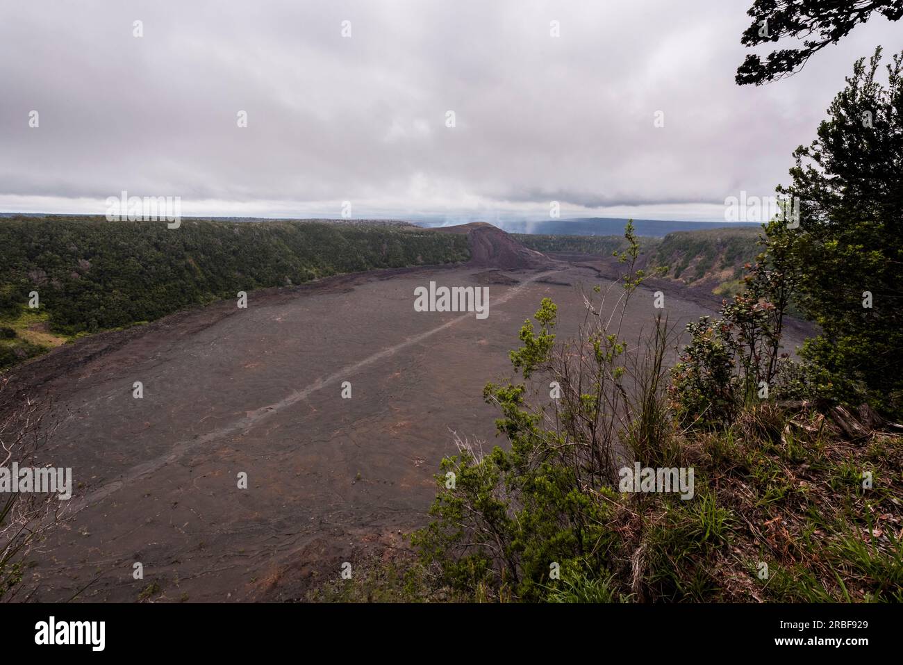 Cratère Kilauea iki dans le parc national des Volcans Banque D'Images