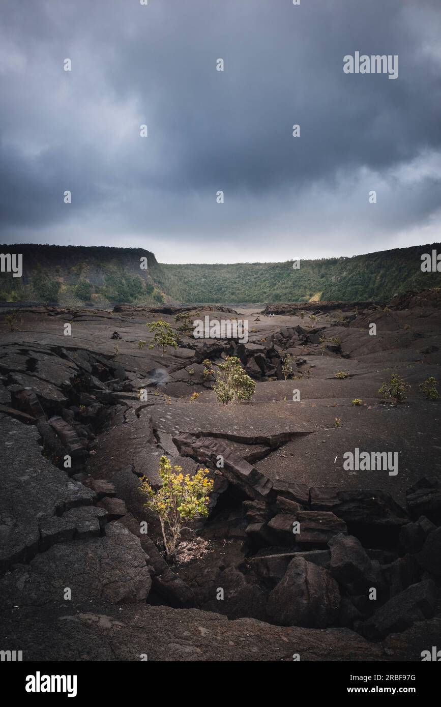 Solidifier le plancher de lave et les fissures à l'intérieur du cratère Kilauea iki Banque D'Images