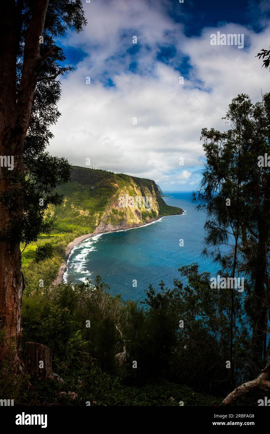 Vue sur la vallée sacrée de Waipio Banque D'Images