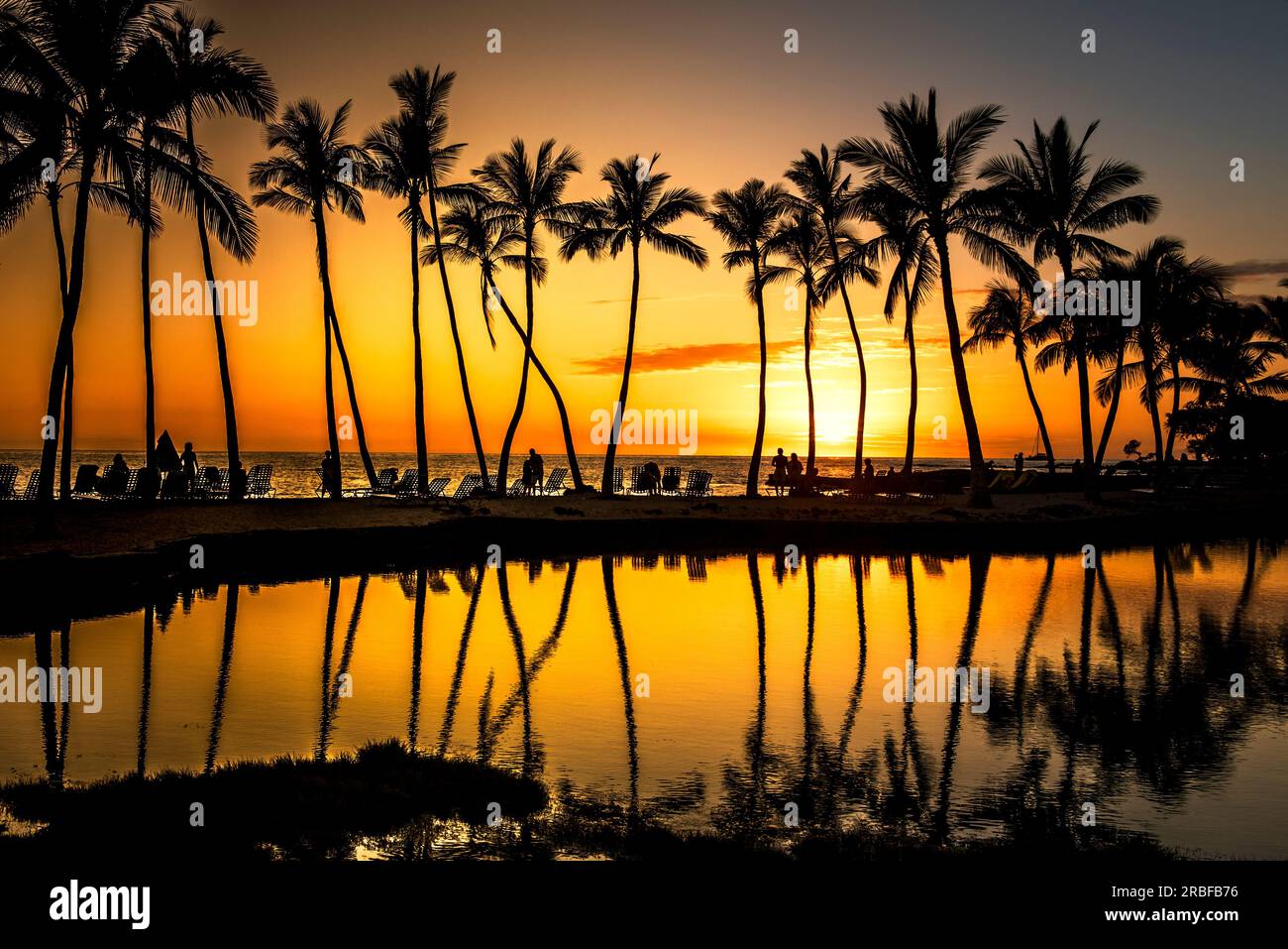 Coucher de soleil orange et ombre de palmiers sur une plage hawaïenne Banque D'Images