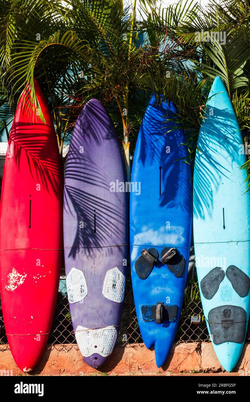 Planche de surf colorée à Maui Banque D'Images