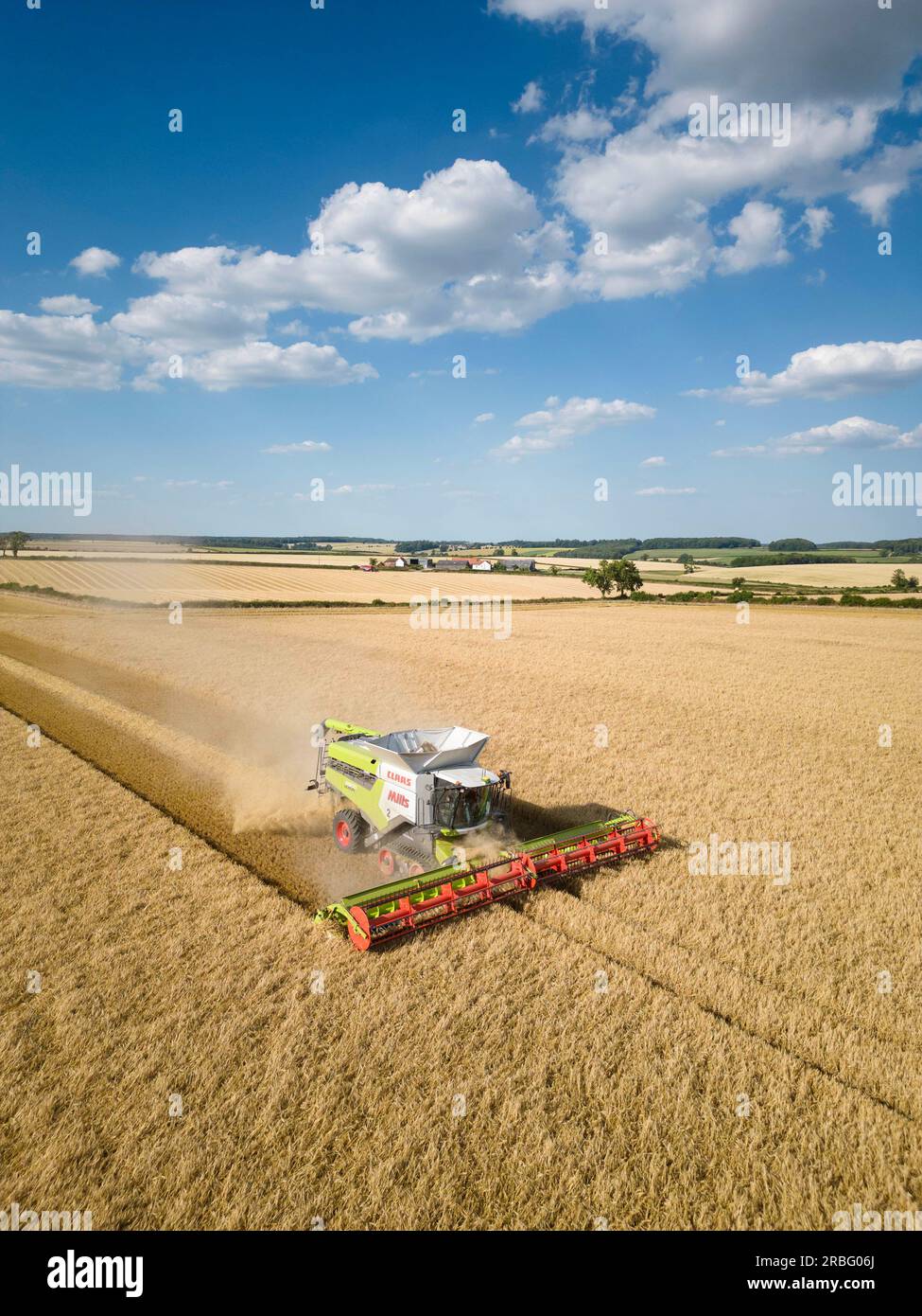 7 juillet 2023 récolte de l'orge d'hiver à Rutland Banque D'Images