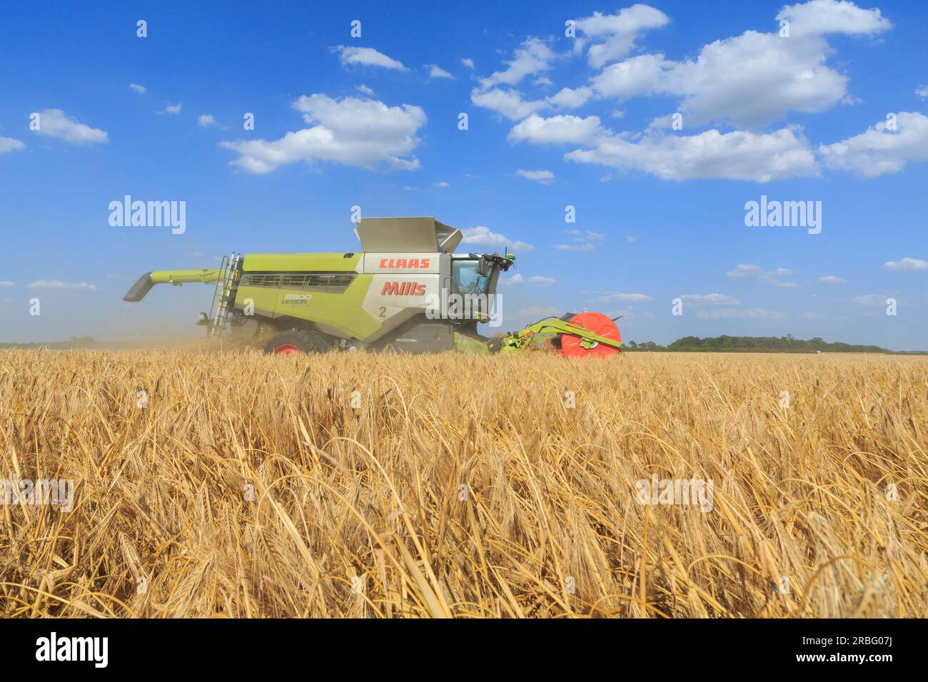 7 juillet 2023 récolte de l'orge d'hiver à Rutland Banque D'Images