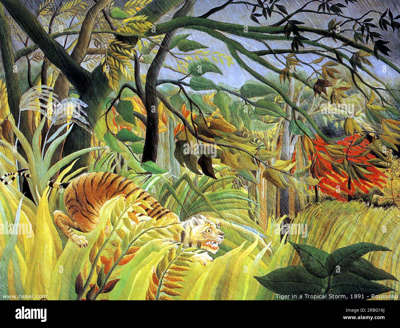 Tigre dans une tempête tropicale (surpris!) 1891 par Henri Rousseau Banque D'Images