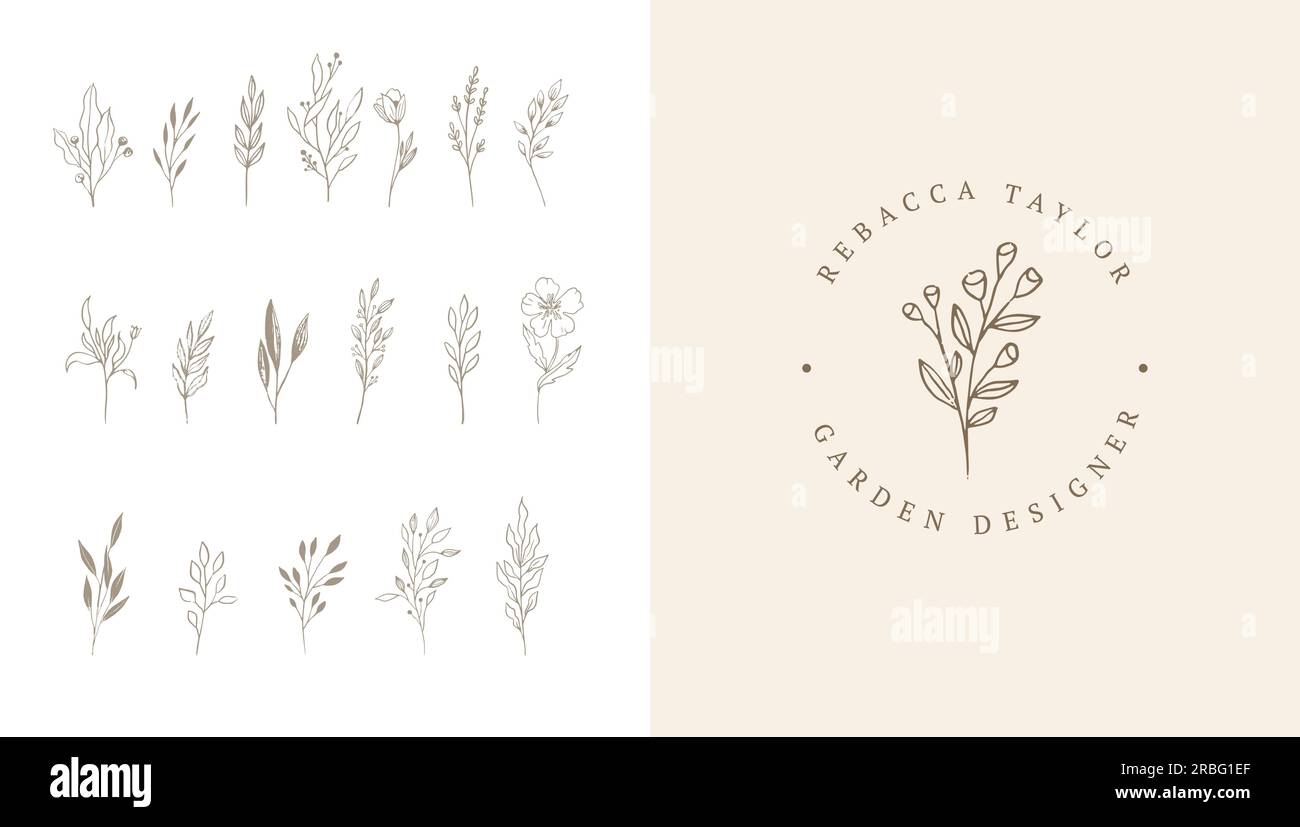 Jardin botanique élégant, délicat éléments dessinés à la main, style moderne minimaliste. Illustrations vectorielles Illustration de Vecteur