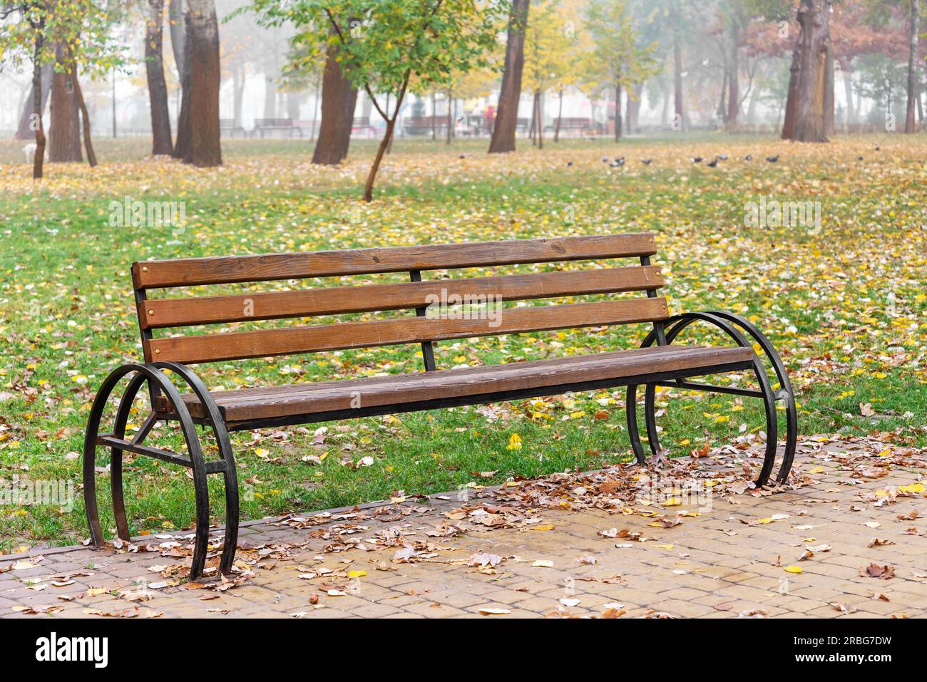 Un banc solitaire dans le parc Natalka de Kiev, Ukraine, en automne. Feuilles jaunes et oranges, pelouse verte et pigeons Banque D'Images