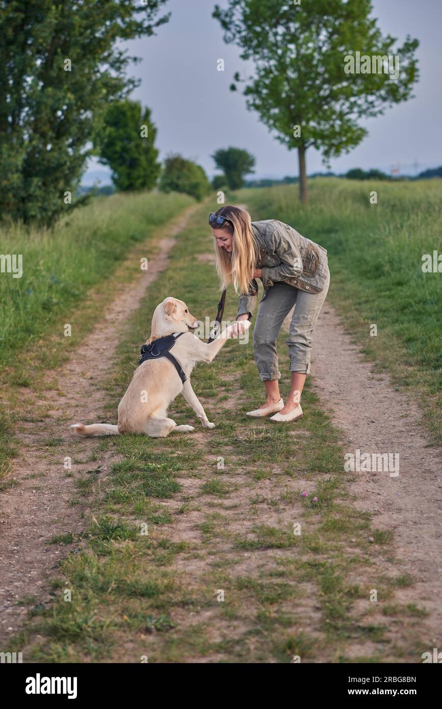 Jeune femme aimant offert une patte par son chien alors qu'elle s'accroupit sur une route de campagne à la campagne durant leur promenade quotidienne Banque D'Images