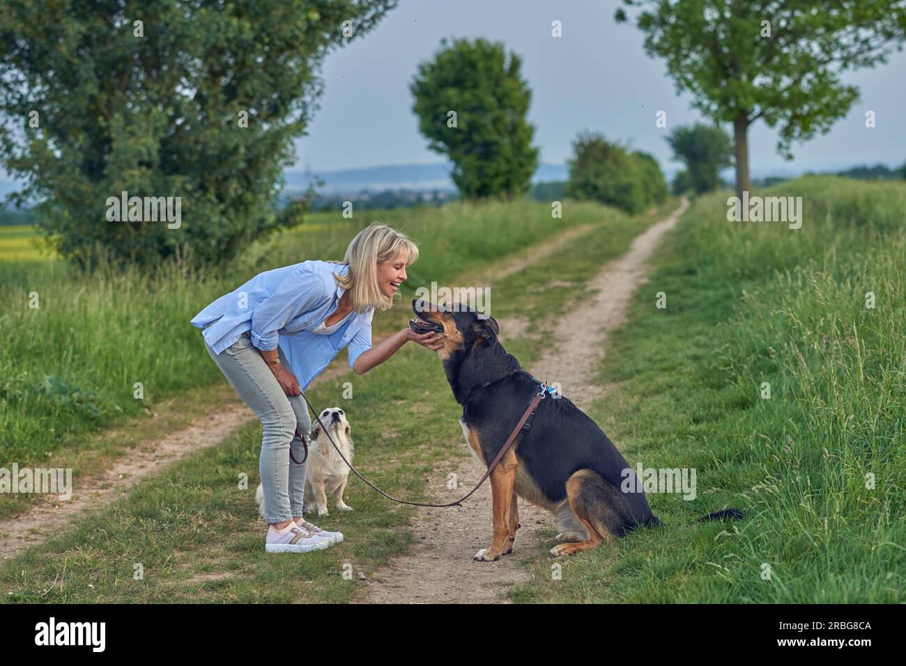 Femme blonde caresser gros chien au cours de promenade le long de la route rurale Banque D'Images