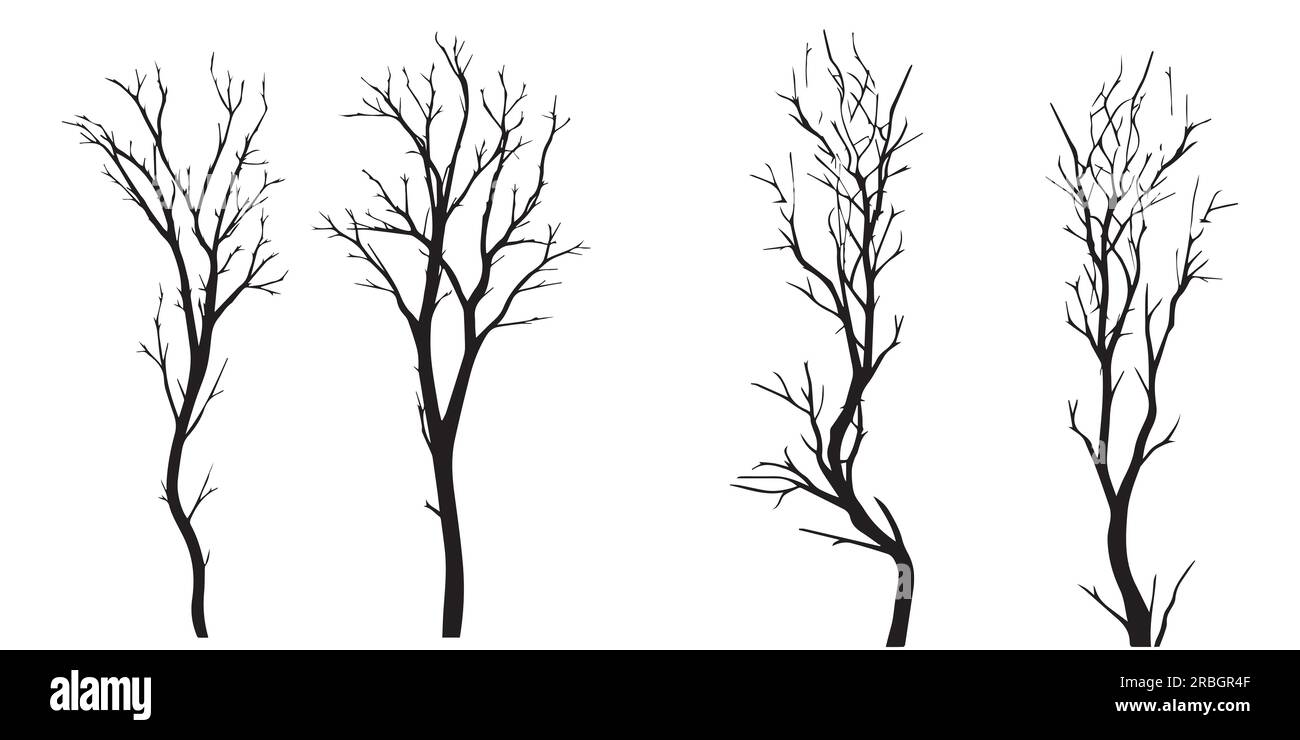 Un ensemble d'illustration vectorielle de branches d'arbre de silhouette Illustration de Vecteur
