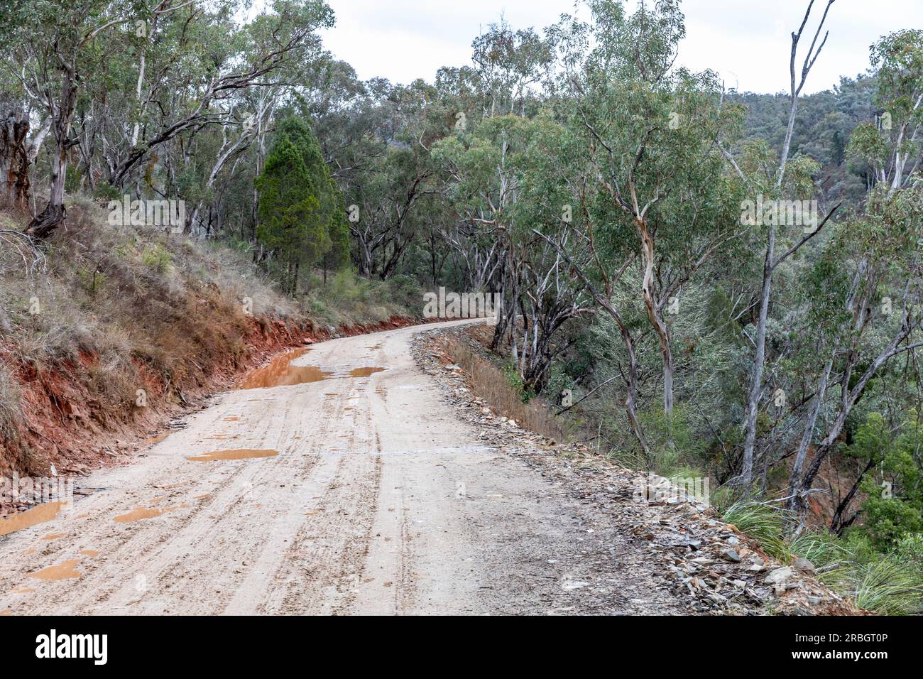 La piste de Hill End Bridle Track, ancienne piste de randonnée et de cheval pendant le boom des mines d'or dans le centre de la Nouvelle-Galles du Sud, en Australie Banque D'Images