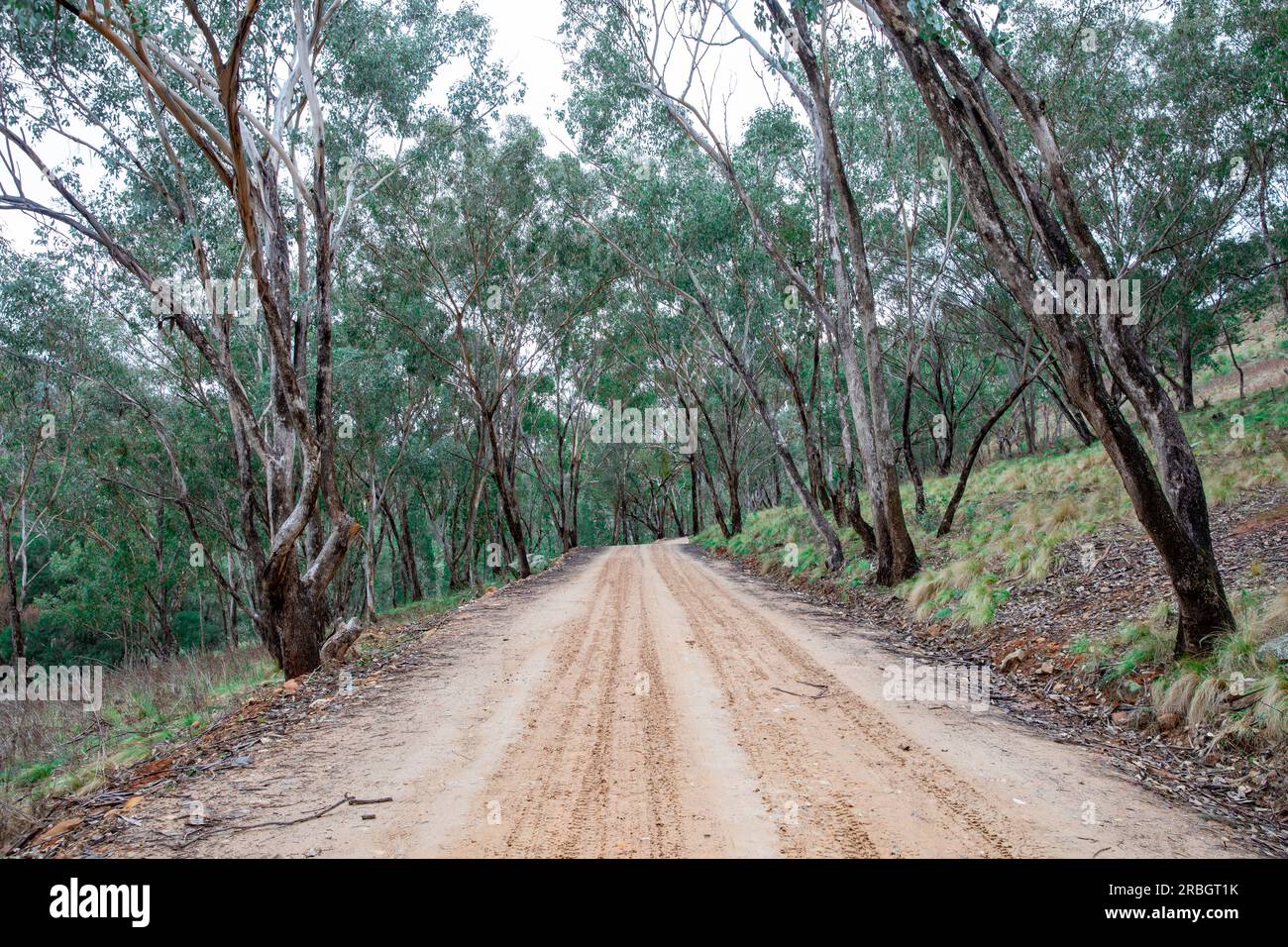 La piste de Hill End Bridle Track, ancienne piste de randonnée et de cheval pendant le boom des mines d'or dans le centre de la Nouvelle-Galles du Sud, en Australie Banque D'Images