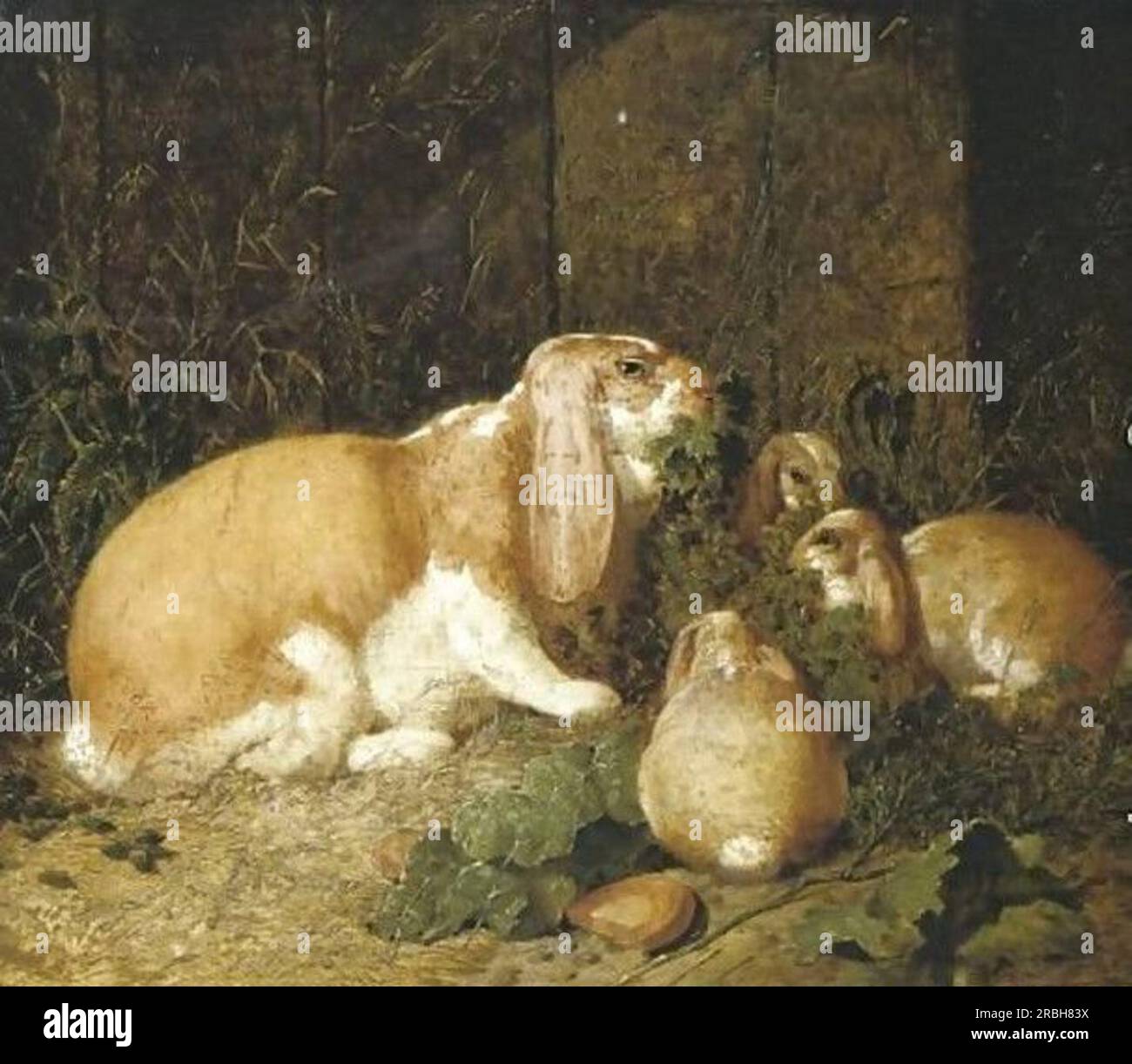 Lapins à oreilles lop 1860 par John Frederick Herring Sr. Banque D'Images