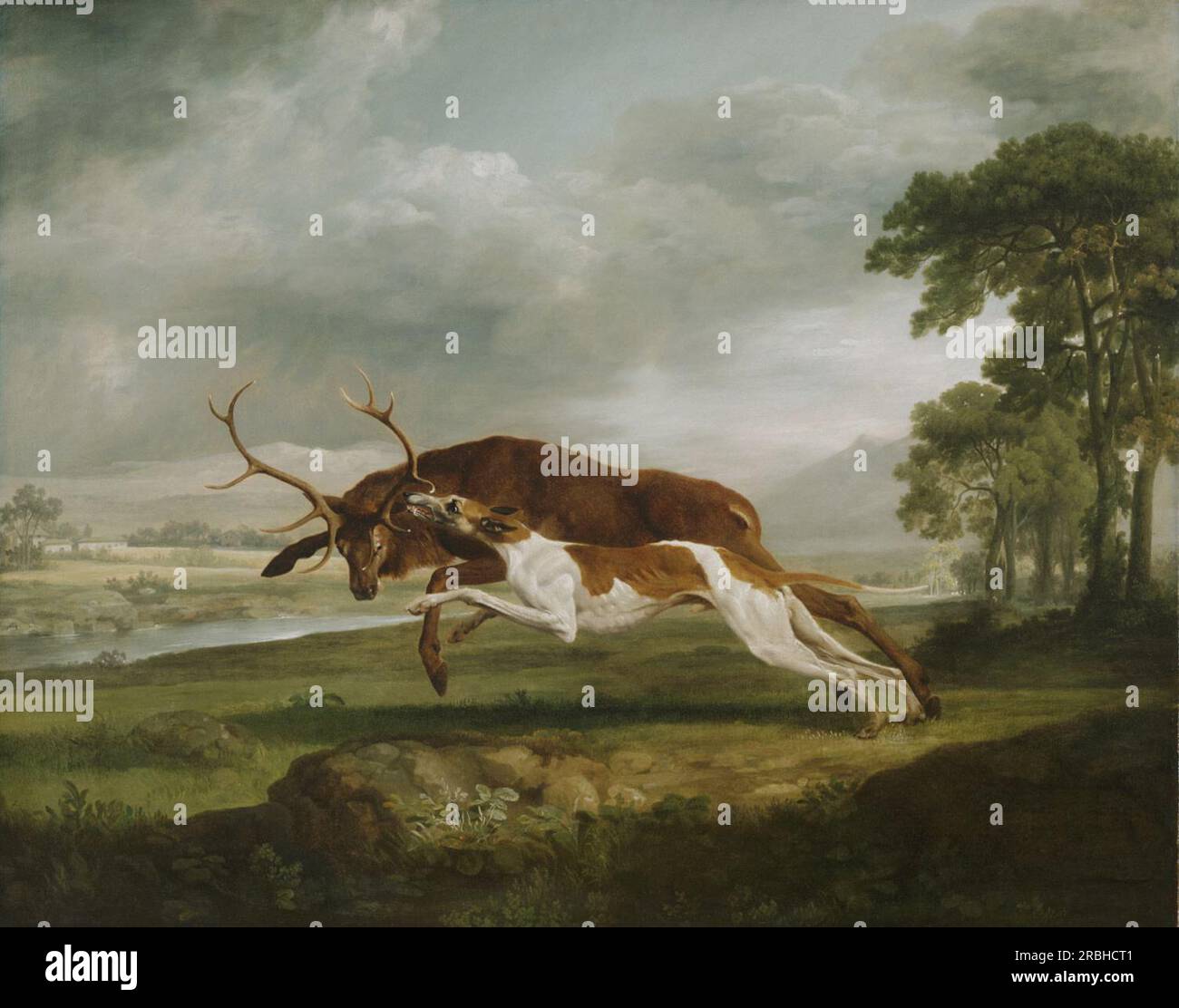 Hound Coursing a Stag 1762 par George Stubbs Banque D'Images