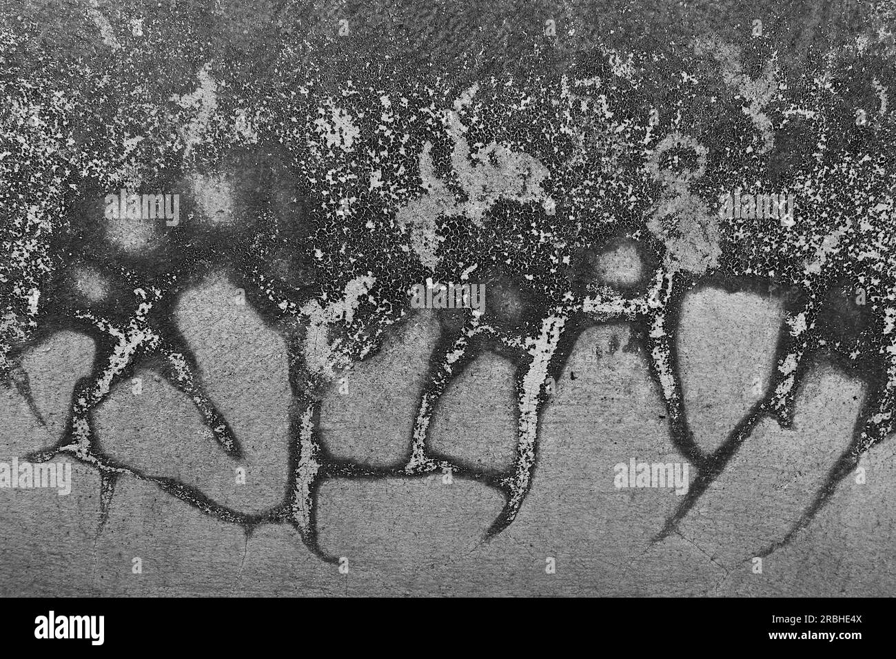 Photo noir et blanc de taches de mousse séchée accrochées au mur. On dirait une œuvre d'art. Banque D'Images