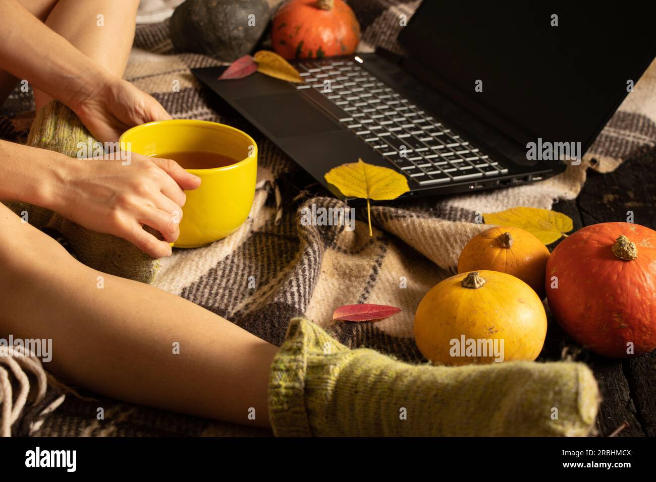 elle est assise avec une tasse de thé et a conduit un ordinateur portable sur le sol de la maison entouré de feuilles et de citrouilles d'automne, indépendant à la maison, ambiance d'automne Banque D'Images