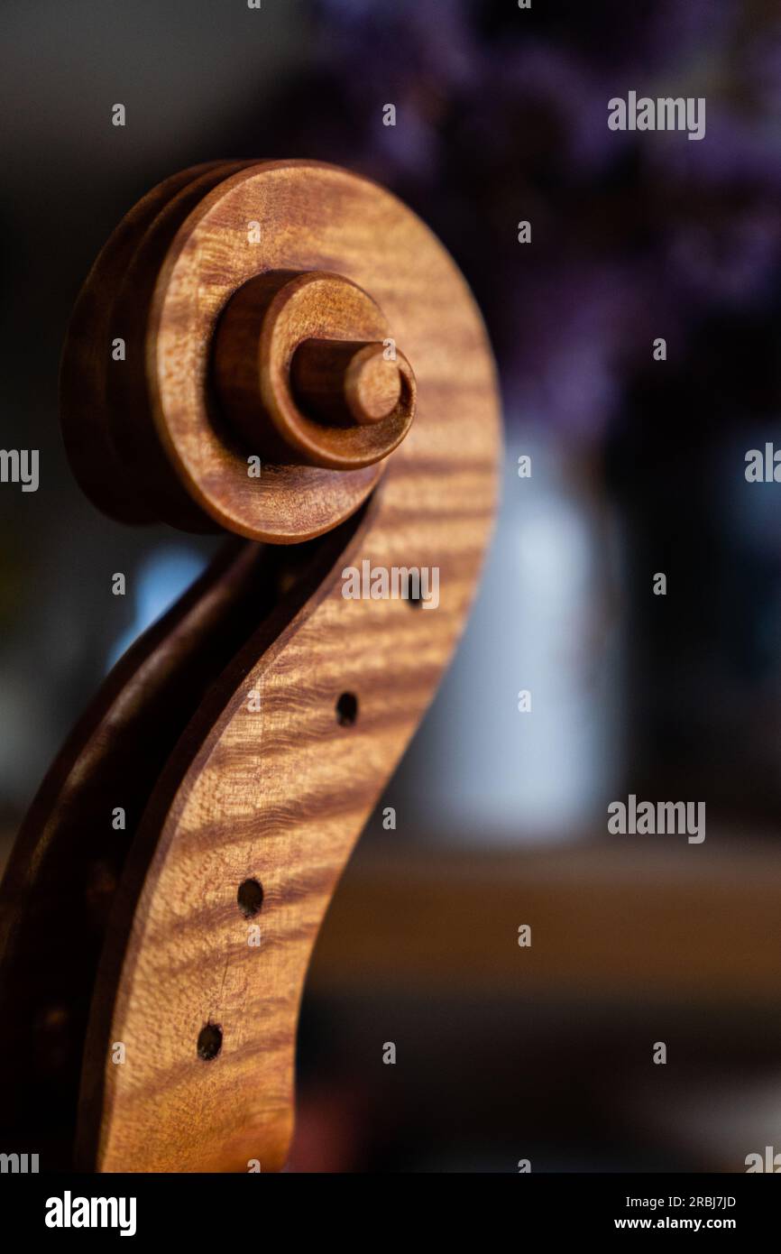 Violoniste travaillant dans son atelier - travail du bois - artisan - artiste Banque D'Images