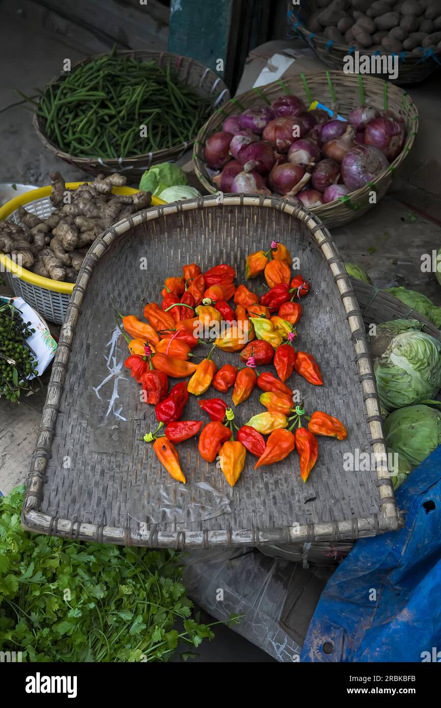 King Chilly également connu sous le nom de poivre fantôme, piment fantôme, Naga jolokia et Bhoot jolokia est parmi les piments les plus chauds au monde. Banque D'Images