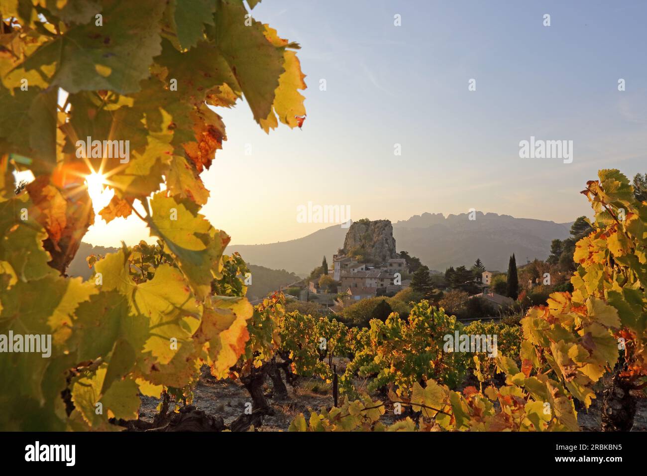 La Roque-Alric et les Dentelles de Montmirail, Vaucluse, Provence-Alpes-Coze d'Azur, France Banque D'Images