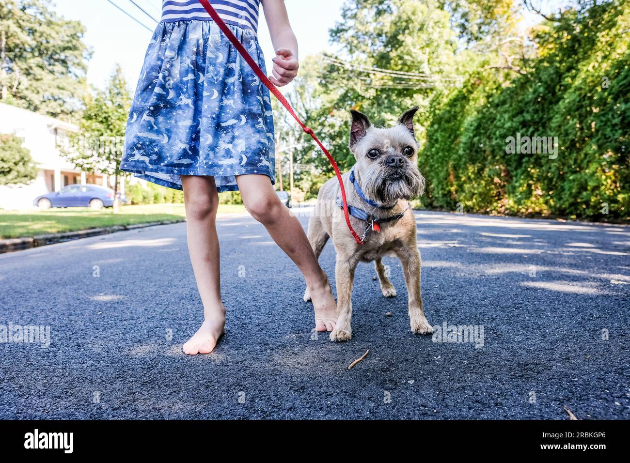 image sans visage d'une fille et d'un chien portant une robe debout sur le trottoir Banque D'Images