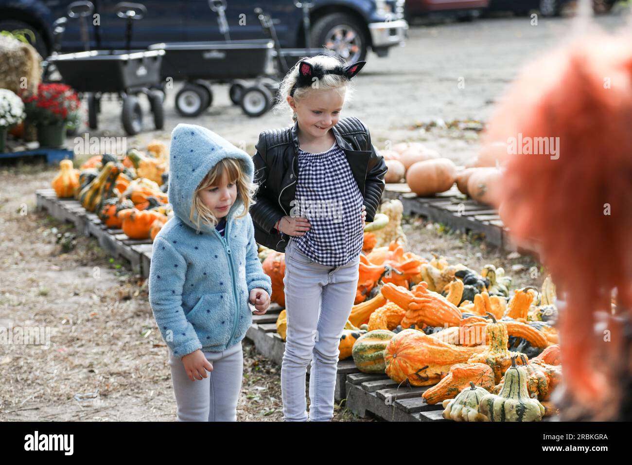 deux filles dans le patch de citrouille regardant quelque chose hors du cadre Banque D'Images