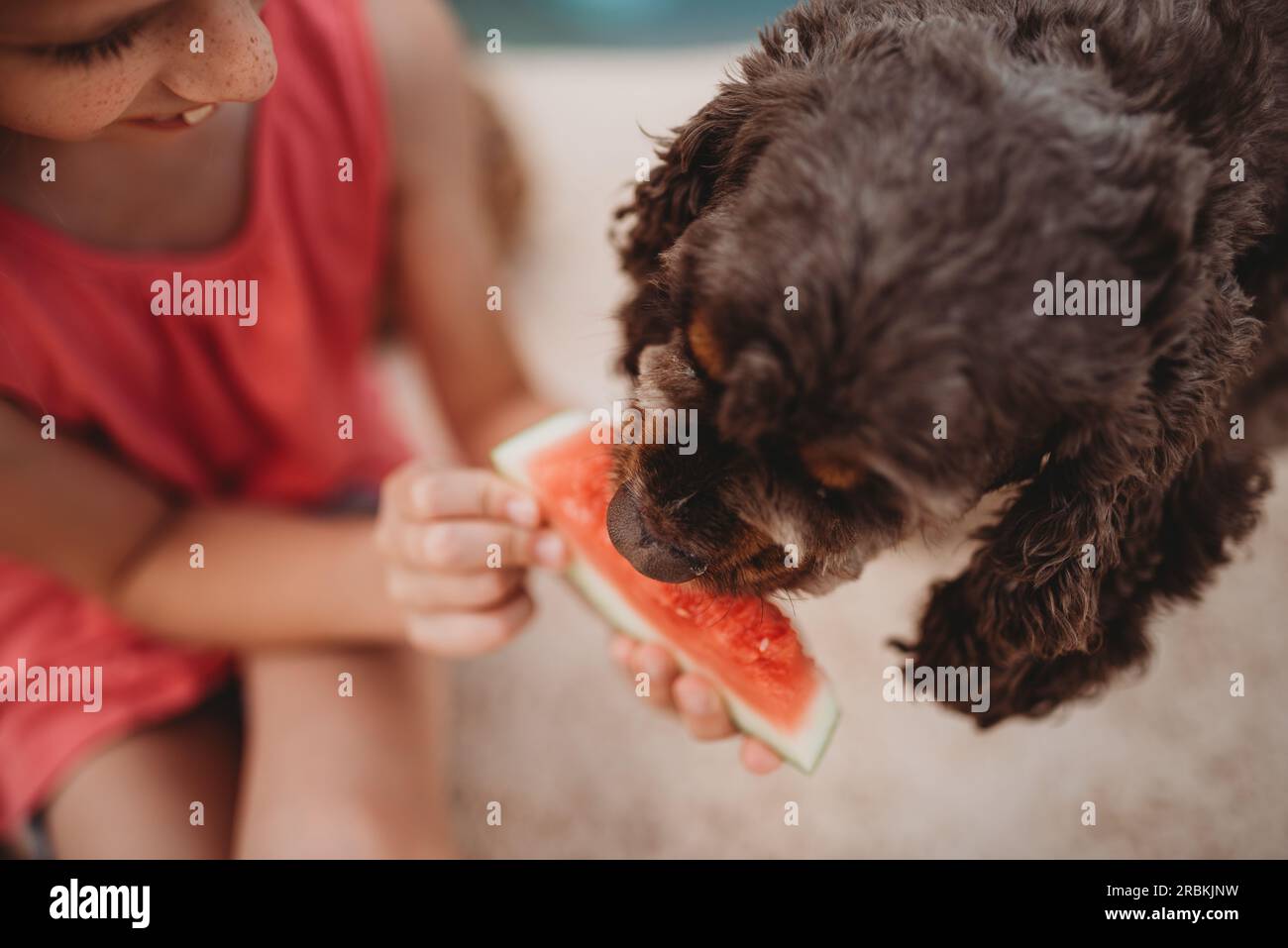 Fille tenant la pastèque pour chien Banque D'Images