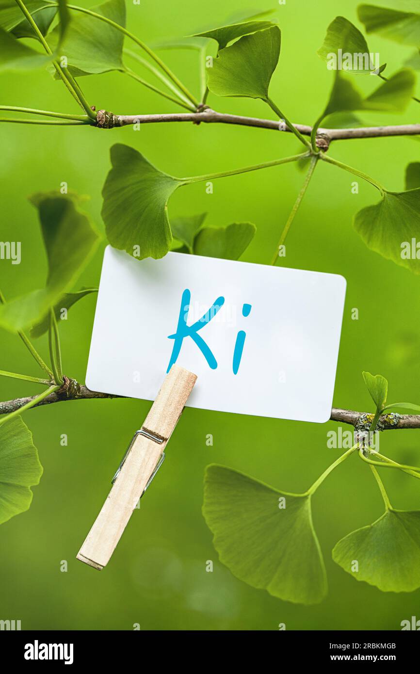 Feuille de note à un lettrage Ginkgo KI Banque D'Images