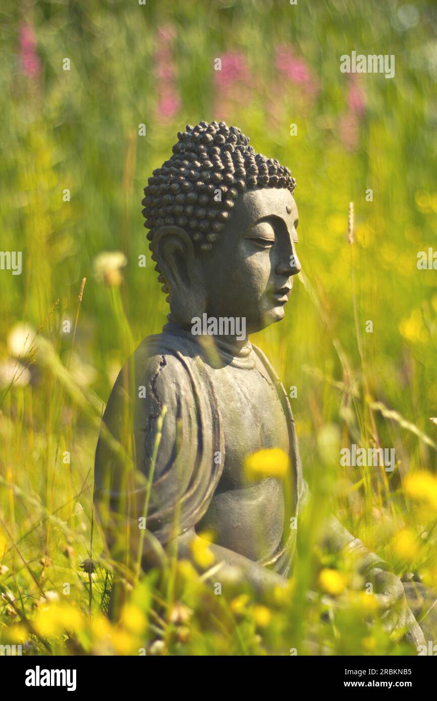Statue de Bouddha dans une prairie Banque D'Images