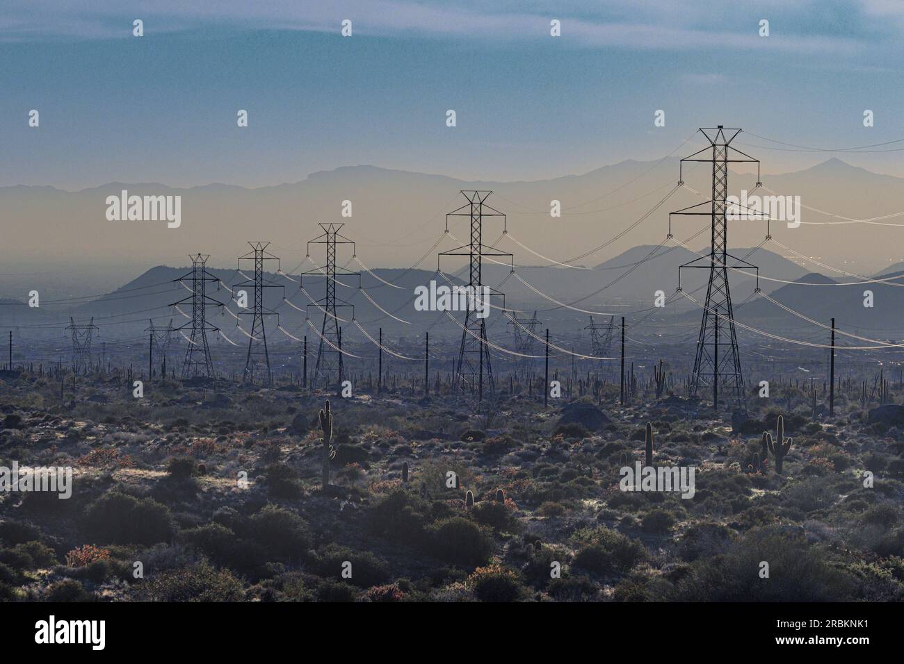 Ligne électrique à haute tension à travers le désert de Sonoran dans le rétro-éclairage, USA, Arizona, Browns Ranch Trailhead, Phoenix Banque D'Images