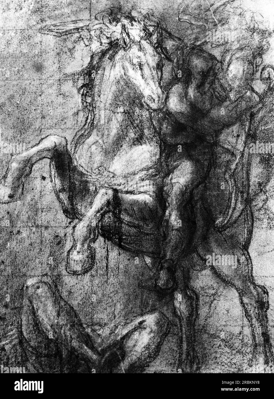 Cavalier sur un adversaire déchu 1564 par Titien Banque D'Images