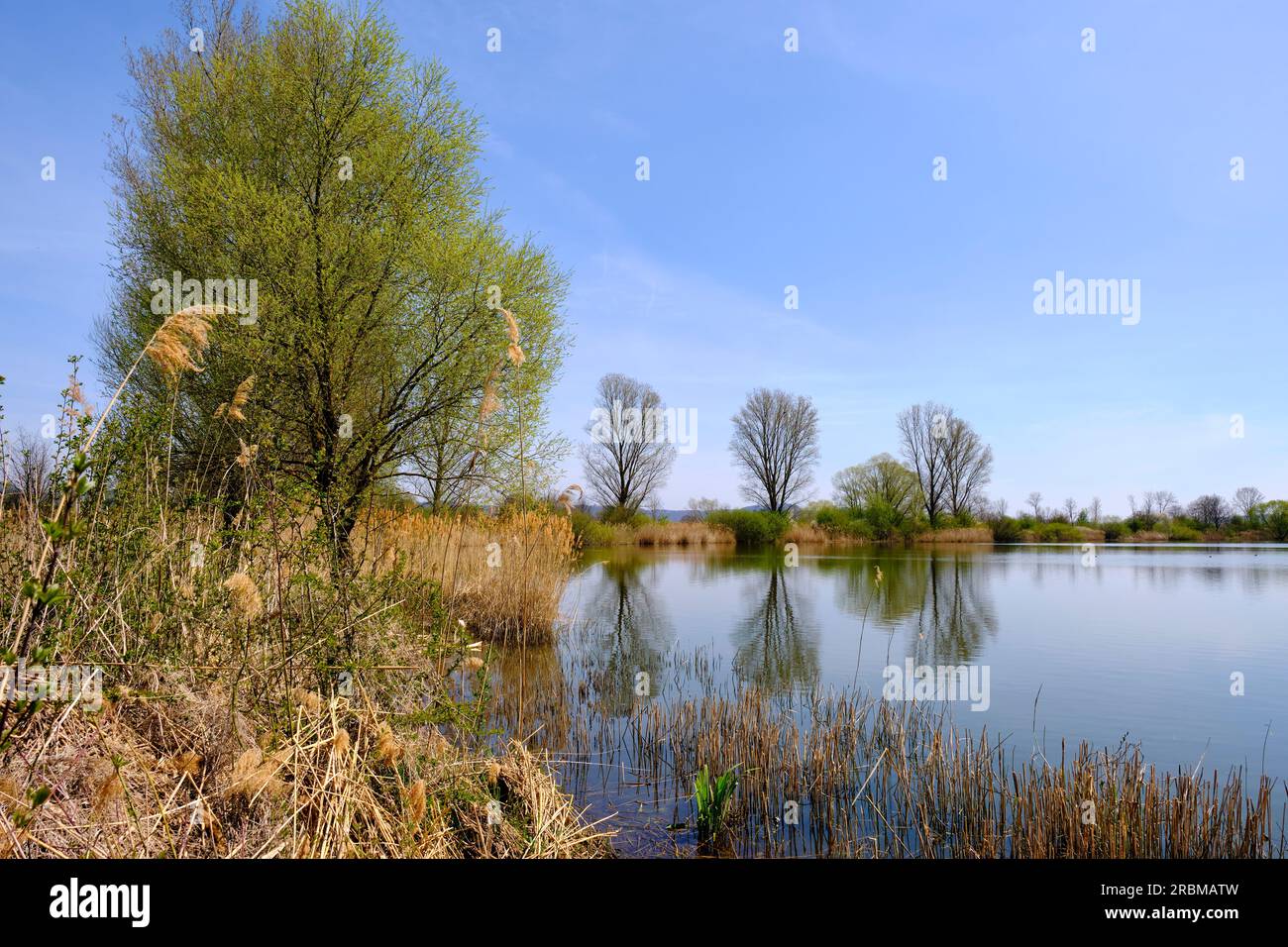 La Mainaue près d'Augsfeld, avec le Großer Wörthsee et le Sichelsee, ville de Haßfurt, district de Hassberge, Basse-Franconie, Franconie, Bavière, GE Banque D'Images