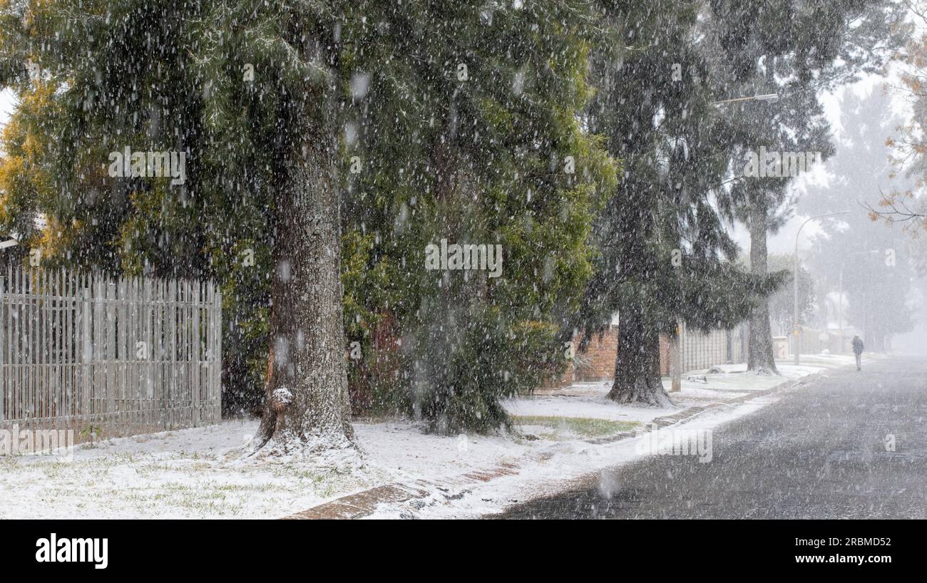 Johannesburg, Afrique du Sud - chutes de neige rares dans la ville début juillet 2023 Banque D'Images