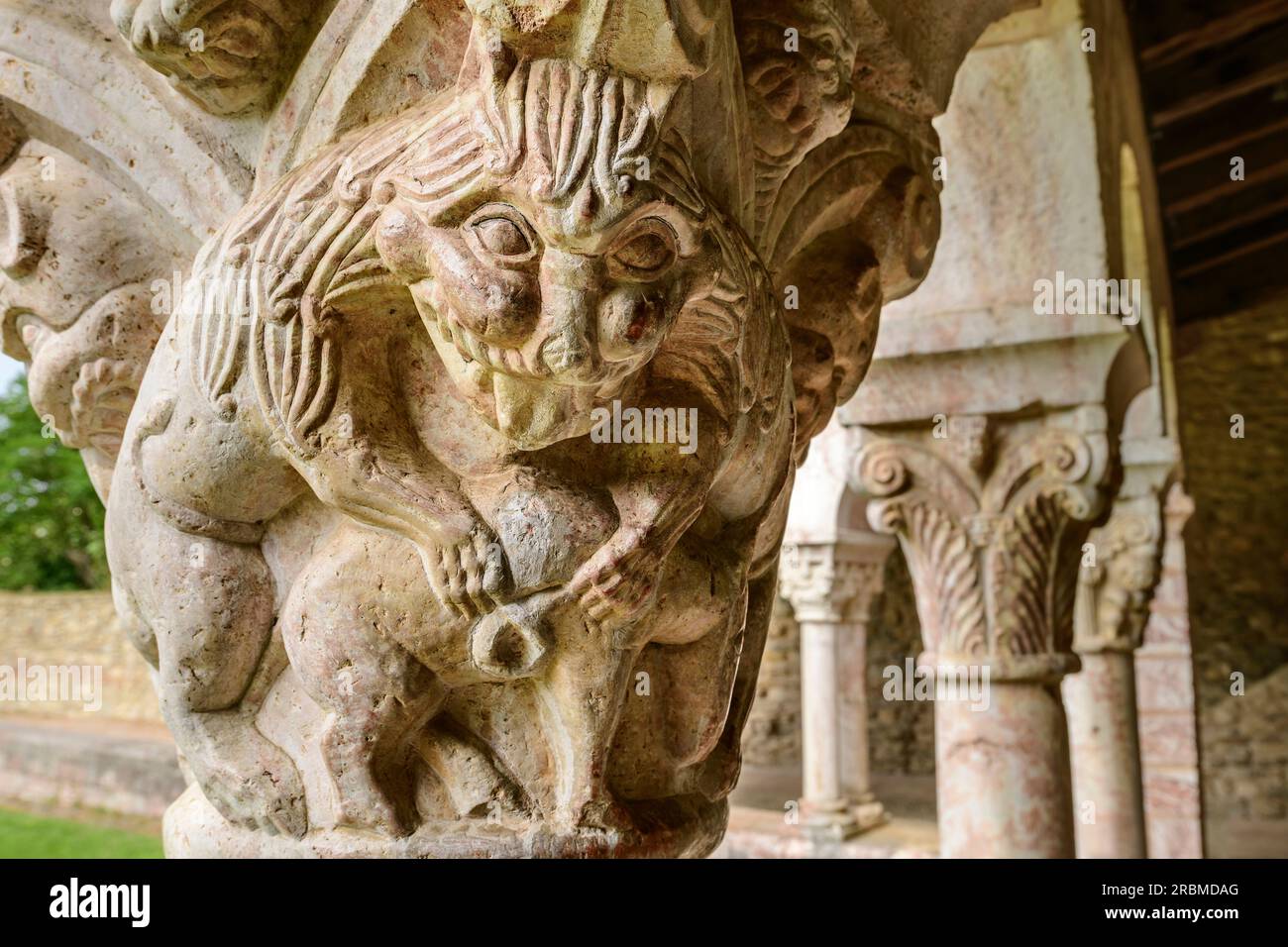 Capitale dans le cloître roman du Monastère de Saint Michel de Cuxa, Abbaye Saint Michel de Cuxa, Prades, Pyrénées, France Banque D'Images