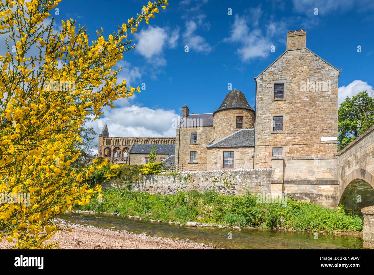 Abbaye de Jedburgh sur la rivière Jed Water, Jedburgh, Scottish Borders, Écosse, Royaume-Uni Banque D'Images